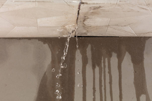 Professional Structural Drying technician working in Hutchins, TX